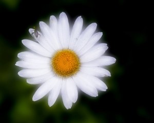 DSC_4014