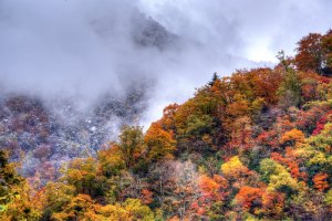 DSC_2669_70_71_tonemapped