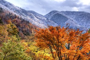 DSC_2726_7_8_tonemapped