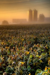 DSC_5340_1_2_tonemapped