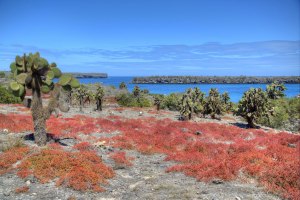 DSC_9105_6_7_tonemapped