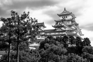 DSC_7390-BW=s