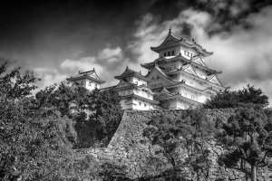 DSC_7420-BW-s