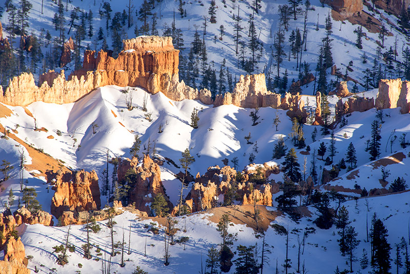 dsc_0124s