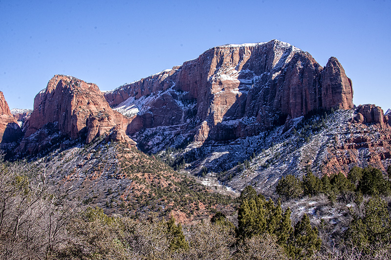 dsc_0221s