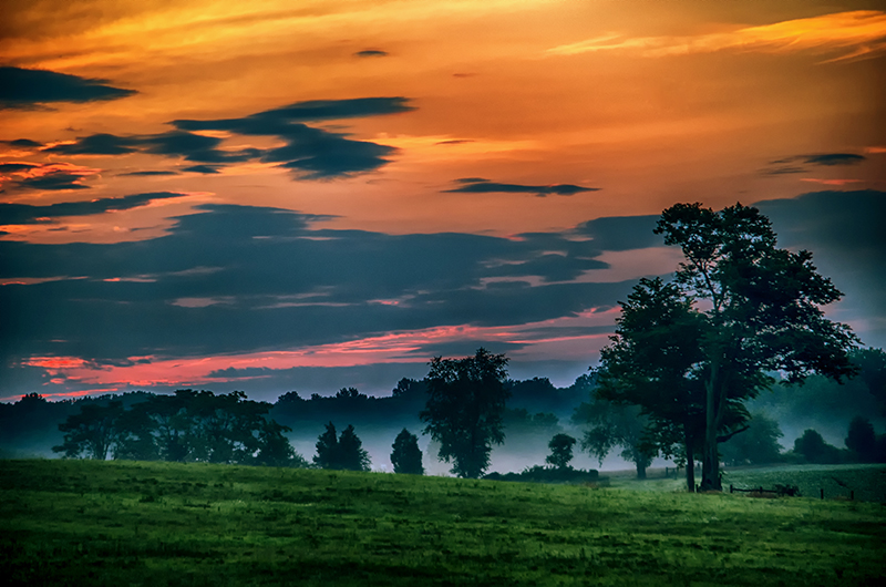 DSC_6113-NIKs - Copy