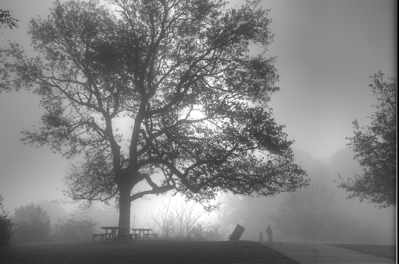 DSC_0565_6_7_tonemapped