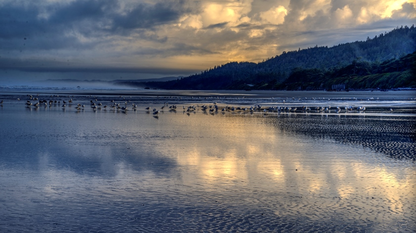 DSC_8566_7_8_tonemapped