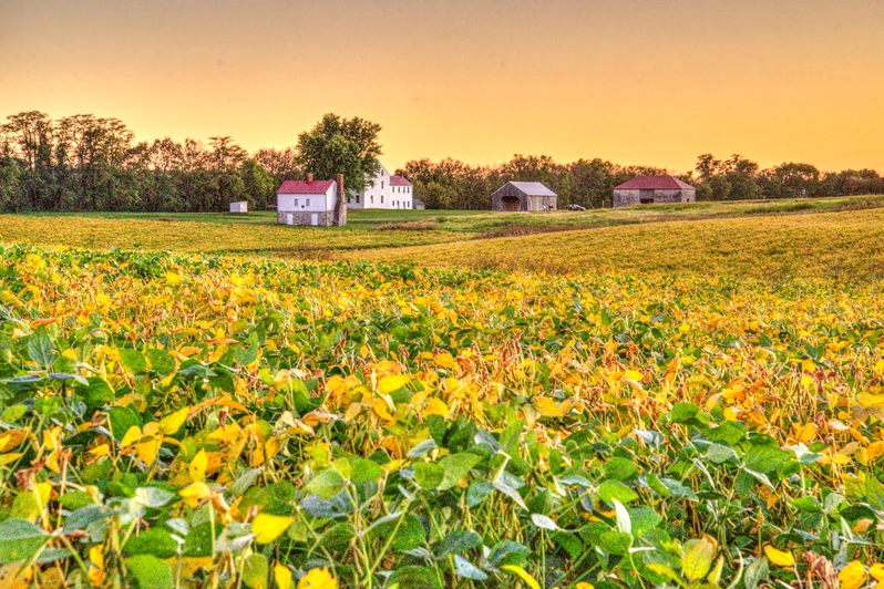 DSC_5113_4_5_tonemapped