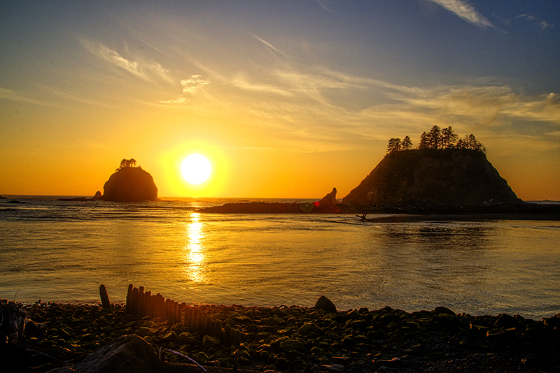 DSC_9721_2_3_s - Copy