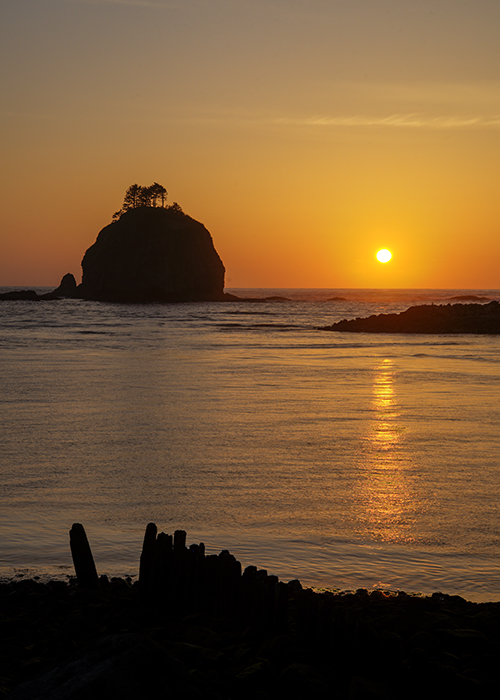 DSC_9754_5_6_s - Copy