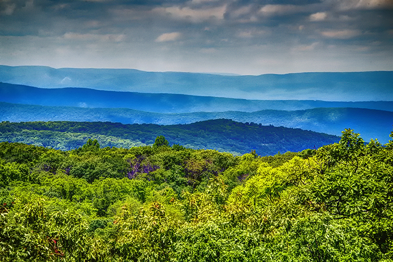 DSC_0596_7_8_fused-NIKs