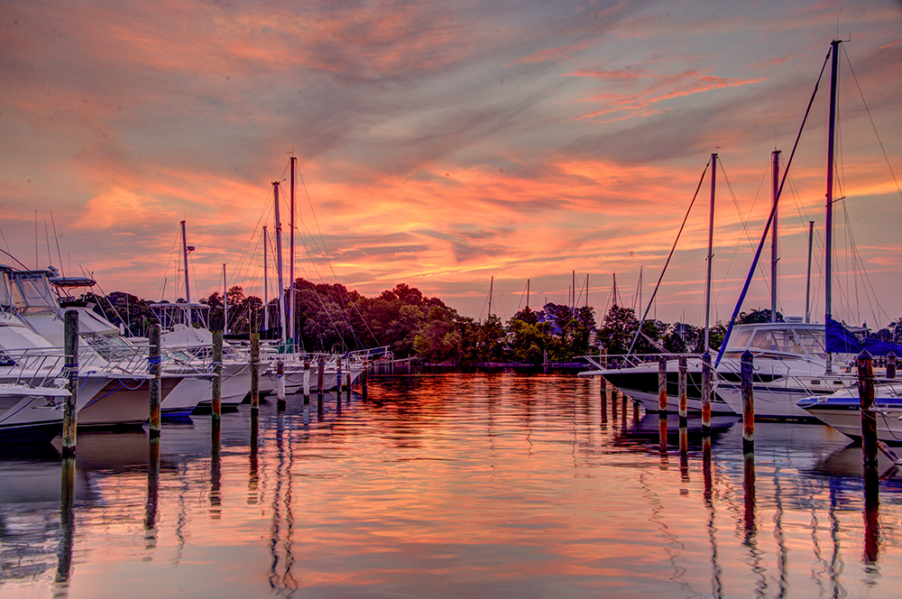 DSC_2591_2_3_Fusion-Natural-s