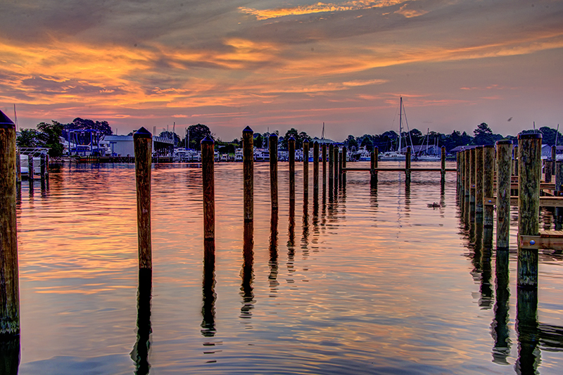 DSC_2600_1_2_Fusion-Natural-s