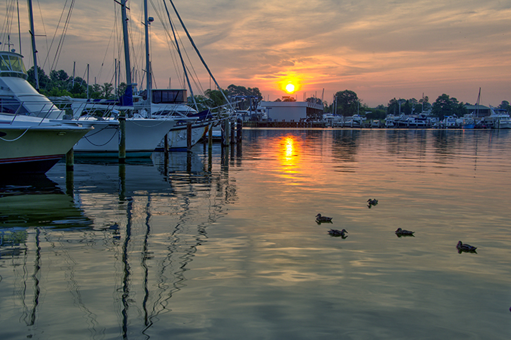 DSC_2621_2_3_Balancer-s