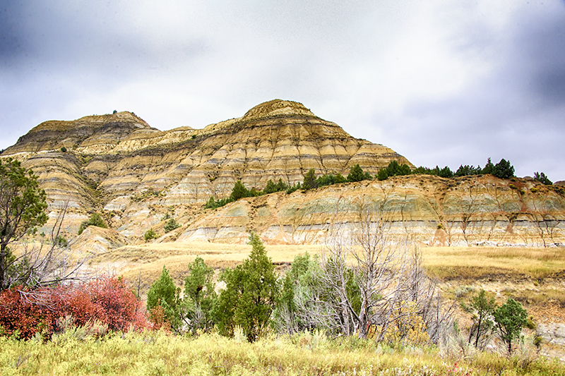 DSC_3801_2_3_Compressor-s