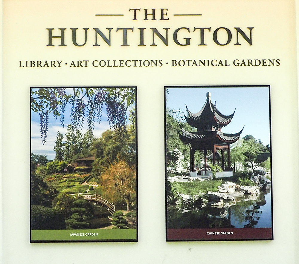 Huntington Library and Gardens near Los Angeles, CA | Stephen Hung ...