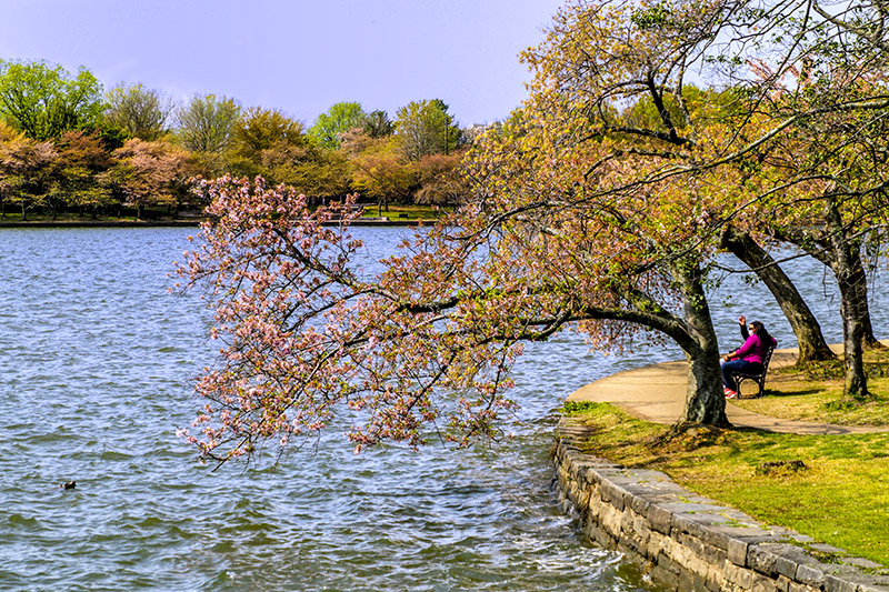 This image has an empty alt attribute; its file name is p4081348s.jpg